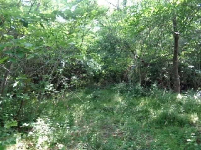 B000530202501300080462.jpg