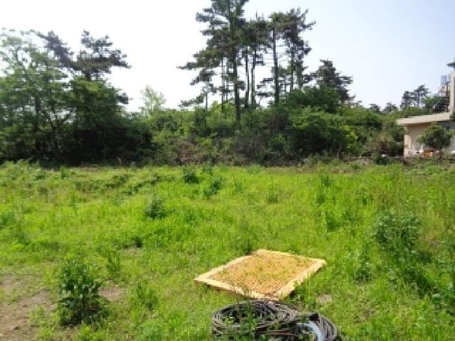 B000530202501300080613.jpg