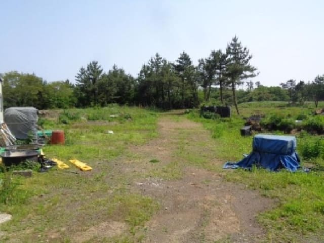 B000530202501300080614.jpg