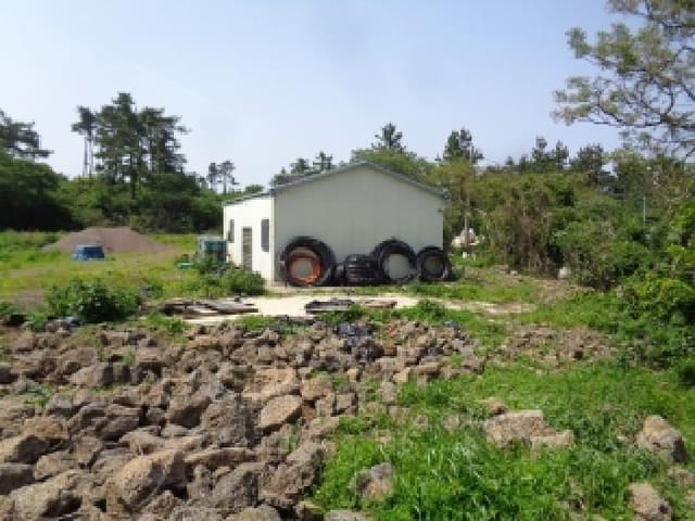 B000530202501300080612.jpg