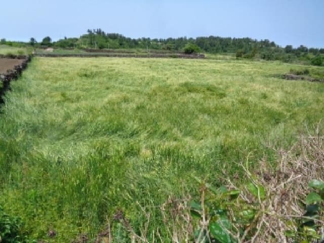 B000530202501300080681.jpg