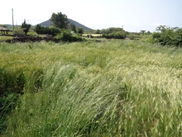 B000530202501300080682.jpg