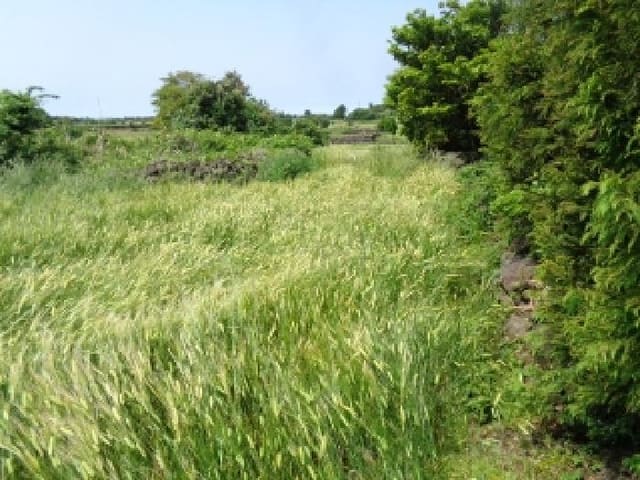 B000530202501300080683.jpg