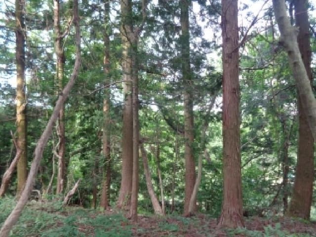 B000530202501300080873.jpg