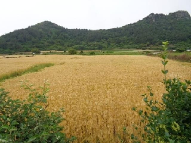 B000530202501300081171.jpg