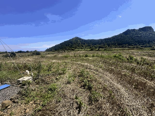 B000530202501300081173.jpg