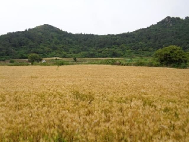 B000530202501300081172.jpg