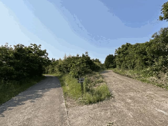 B000530202501300081194.jpg