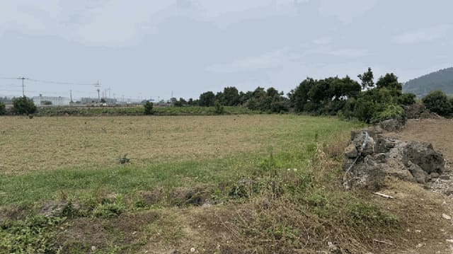 B000530202501300081204.jpg
