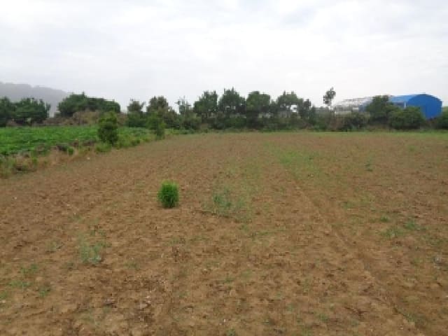 B000530202501300081201.jpg