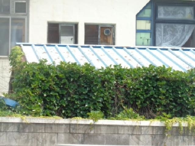 B000530202501300081221.jpg