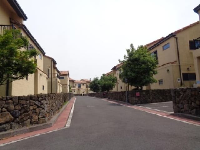 B000530202501300081282.jpg
