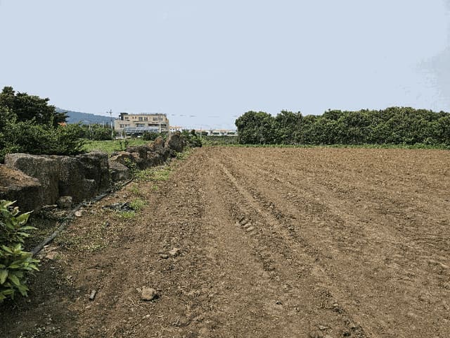 B000530202501300081354.jpg