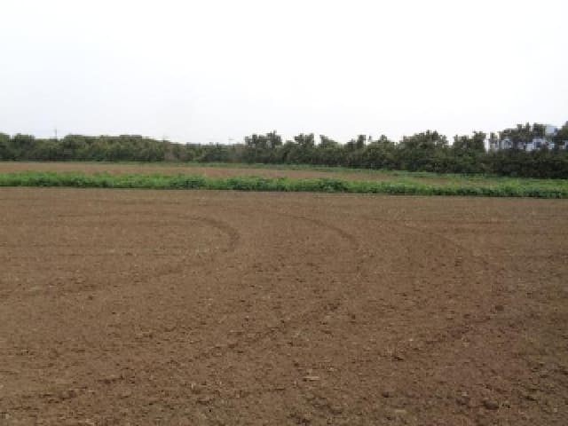 B000530202501300081352.jpg