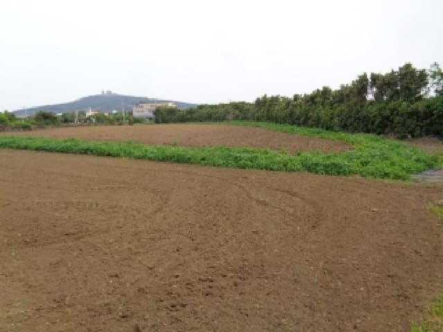 B000530202501300081351.jpg