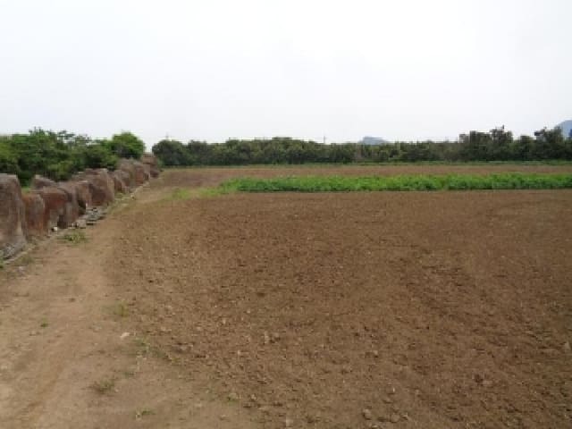 B000530202501300081353.jpg
