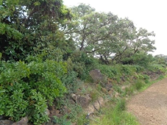 B000530202501300081402.jpg