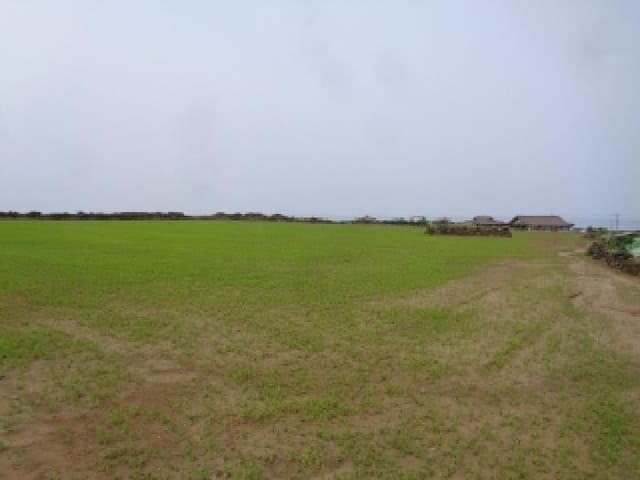 B000530202501300081401.jpg