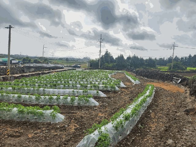 B000530202501300081604.jpg