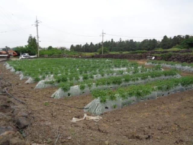 B000530202501300081601.jpg
