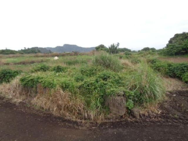 B000530202501300081633.jpg