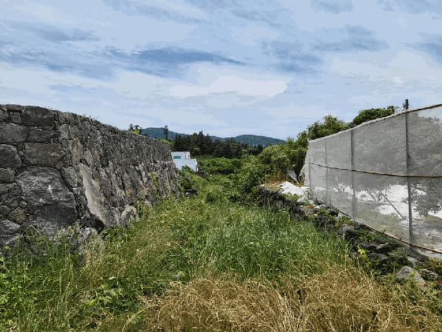 B000530202501300081664.jpg