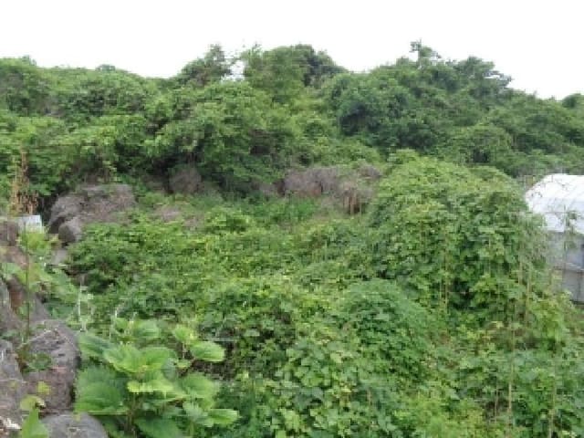 B000530202501300081663.jpg