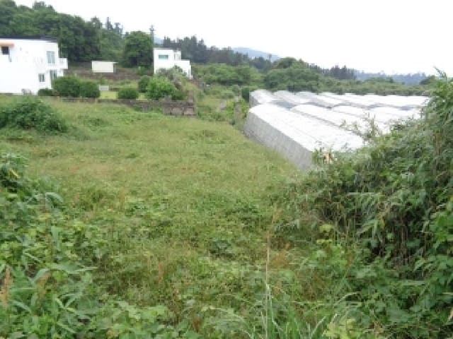 B000530202501300081661.jpg