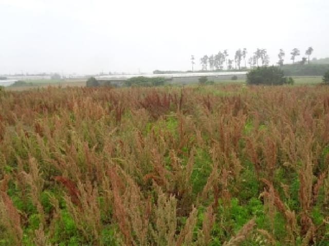 B000530202501300081671.jpg