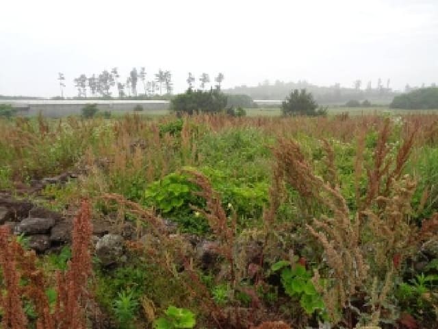 B000530202501300081672.jpg