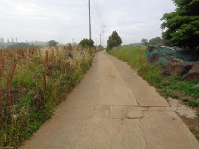 B000530202501300081673.jpg