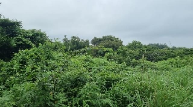 B000530202501300081682.jpg