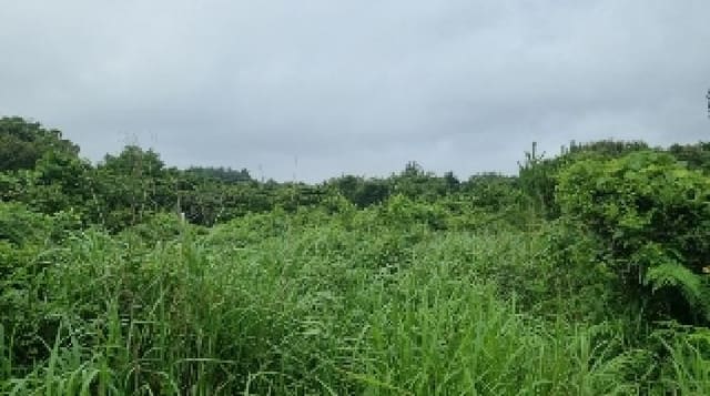 B000530202501300081684.jpg