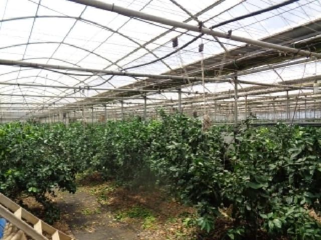 B000530202501300081704.jpg