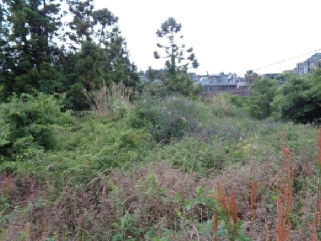 B000530202501300081781.jpg