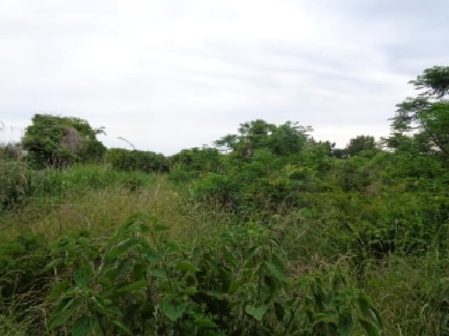 B000530202501300081784.jpg