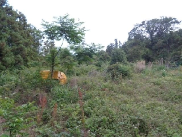 B000530202501300081783.jpg
