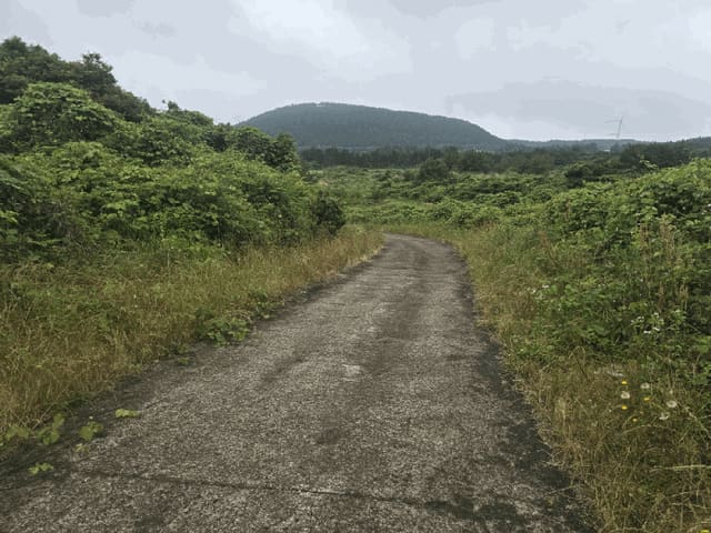 B000530202501300081942.jpg