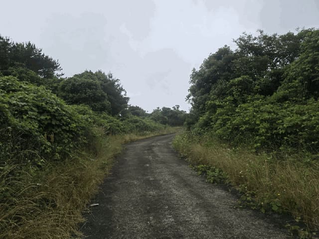 B000530202501300081943.jpg