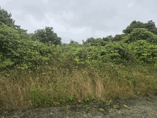 B000530202501300081944.jpg
