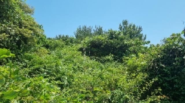 B000530202501300081941.jpg