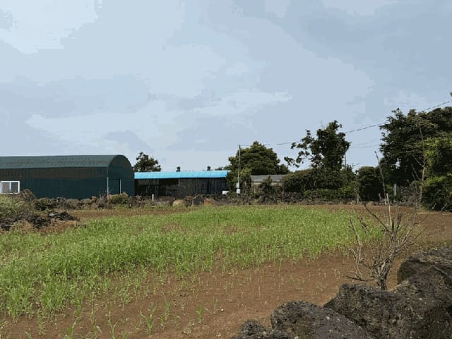 B000530202501300082152.jpg