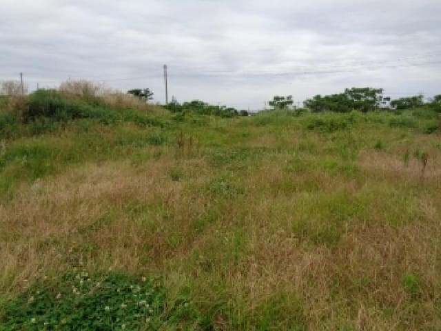B000530202501300082162.jpg
