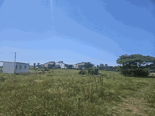 B000530202501300082196.jpg