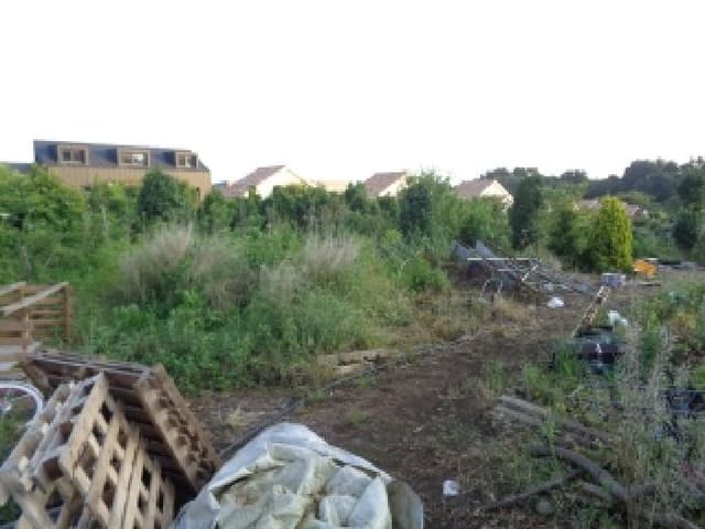 B000530202501300082462.jpg