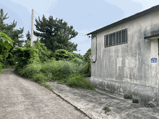B0005302025013000825313.jpg