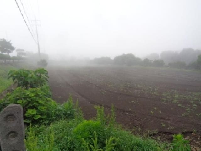 B000530202501300082553.jpg