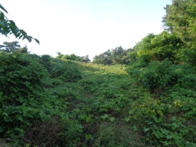 B000530202501300082563.jpg
