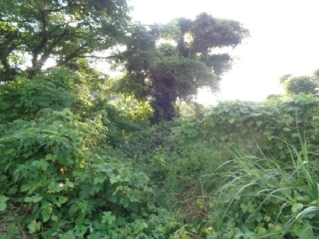 B000530202501300082561.jpg