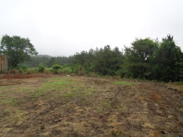 B000530202501300082691.jpg